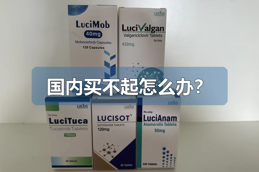 国内买不起怎么办？